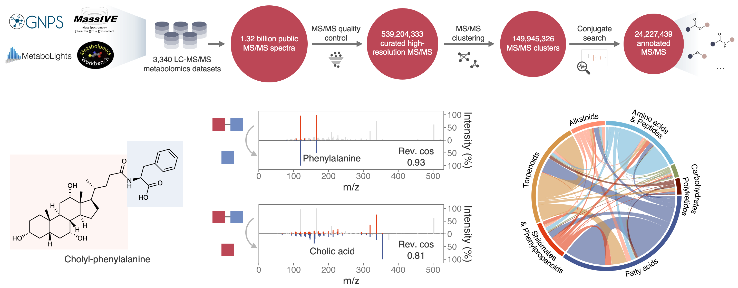 Representative figure for Navigating the conjugated metabolome